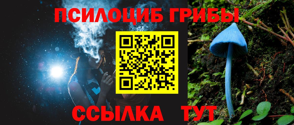 Будённовск  Псилоцибиновые грибы GOLDEN TEACHER  Вход с VPN 