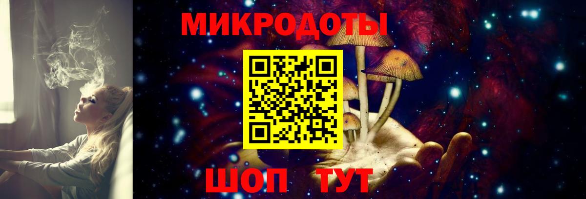 Псилоцибиновые грибы GOLDEN TEACHER Будённовск